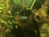 2022-12-01 10.17.38.jpg