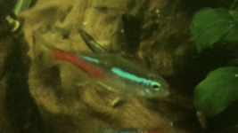 2022-12-01 13.42.30.png