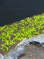 BD07C276-B4FA-4B7E-958E-958542458717.jpeg