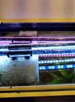 bovenkant aquarium 2.jpg