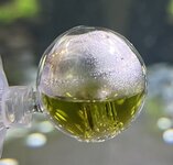 095B6859-BB8F-4BB9-BDA2-DAC3DABF65FC.jpeg