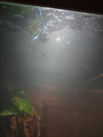 IMG20221218164350.jpg