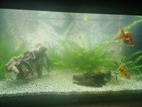 20230117_170845.jpg