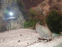 Afbeelding van WhatsApp op 2023-01-20 om 08.51.59.jpg