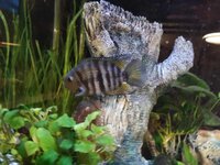 Afbeelding van WhatsApp op 2023-01-20 om 08.51.57.jpg