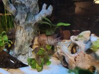 Afbeelding van WhatsApp op 2023-01-20 om 08.51.58.jpg