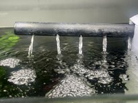 DF8E697B-A829-43C4-897E-21CC65F0BEFB.jpeg
