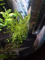 20230211_135142.jpg