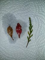 20230216_154158.jpg