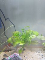 IMG_20230228_174343.jpg