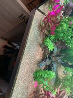 DEDD3D89-5F75-4D35-B05A-3E1F2A6A6A22.jpeg