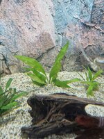 20230315_144254.jpg