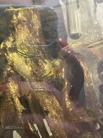 230139C1-A24B-4C92-B0CD-F363ADED7299.jpeg