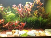 16818162676921207258513.jpg 16818162676921207258513.jpg