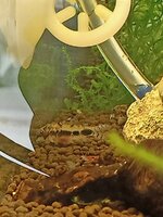 IMG20230420124355.jpg