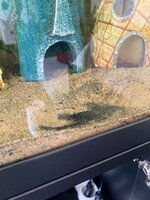 Afbeelding van WhatsApp op 2023-04-24 om 13.40.18.jpg