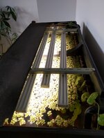 WhatsApp Image 2023-04-29 at 18.23.16.jpeg