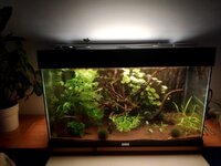 WhatsApp Image 2023-05-02 at 21.30.27.jpeg