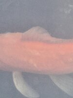 20230503_170458.jpg