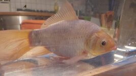 WhatsApp Image 2023-05-19 at 21.55.28.jpeg