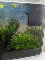 PXL_20230522_111320152.jpg