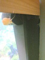 20230606_221255.jpg