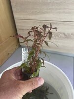 IMG_7613.jpeg