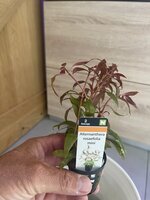 IMG_7612.jpeg