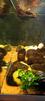 ferplast 23 juli 2023.jpg