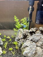IMG_3592.jpeg