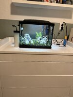 IMG_3583.jpeg