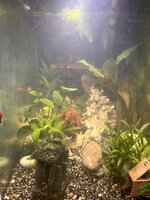 IMG_6825.jpeg
