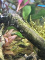 IMG_4402.jpeg