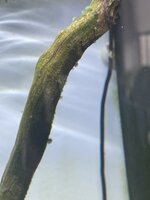 IMG_4403.jpeg