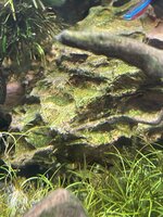 IMG_4404.jpeg