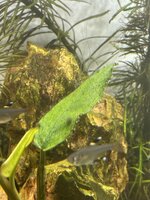 IMG_4405.jpeg
