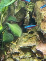 IMG_4406.jpeg