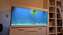 IMG_20230902_202145_409.jpg