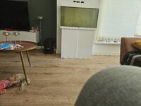 20230905_132207.jpg