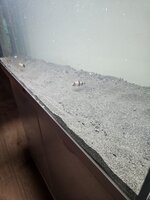 20230906_211554.jpg
