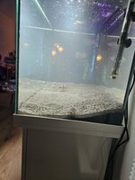 20230906_213809.jpg