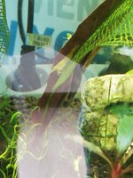 IMG_20230922_172904.jpg