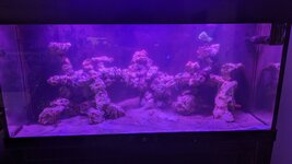 PXL_20230928_061230959.jpg