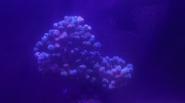 PXL_20230928_060917567.jpg