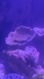 PXL_20230928_060805466.jpg