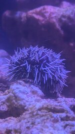 PXL_20230928_060730190.jpg