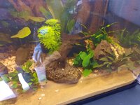 20230927_125219.jpg