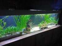20230919_211957.jpg