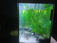 20230919_211948.jpg