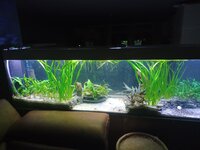 20230919_211934.jpg